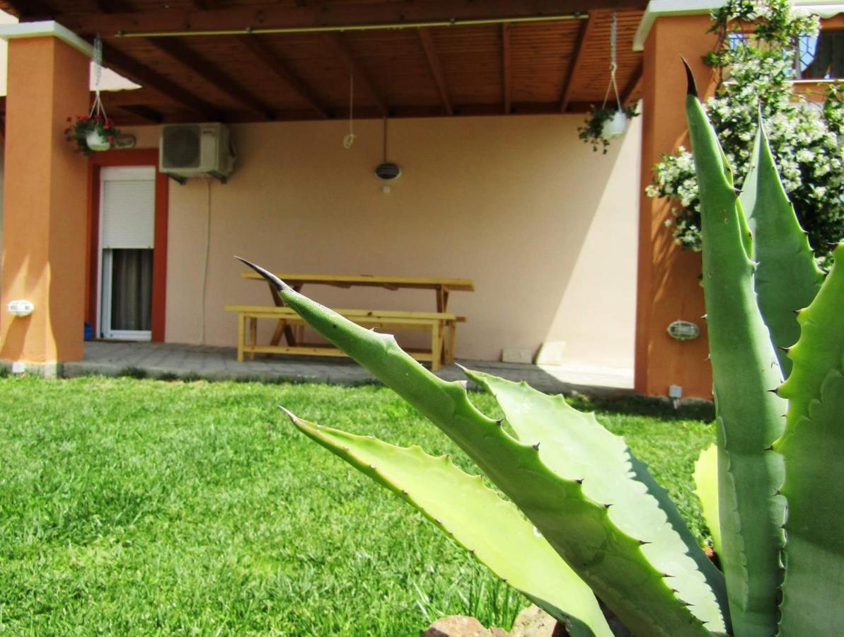 شقة Olive Grove House يميناريا المظهر الخارجي الصورة